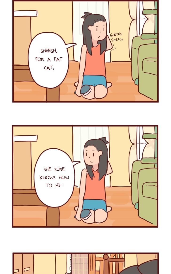Saphie: The One-Eyed Cat Chapter 13 page 7 - Chapter 13 : Hide!!
