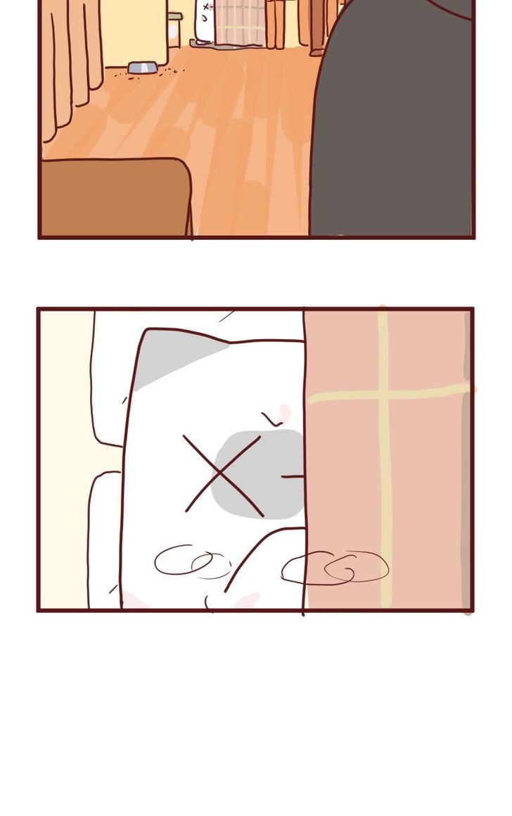 Saphie: The One-Eyed Cat Chapter 13 page 8 - Chapter 13 : Hide!!