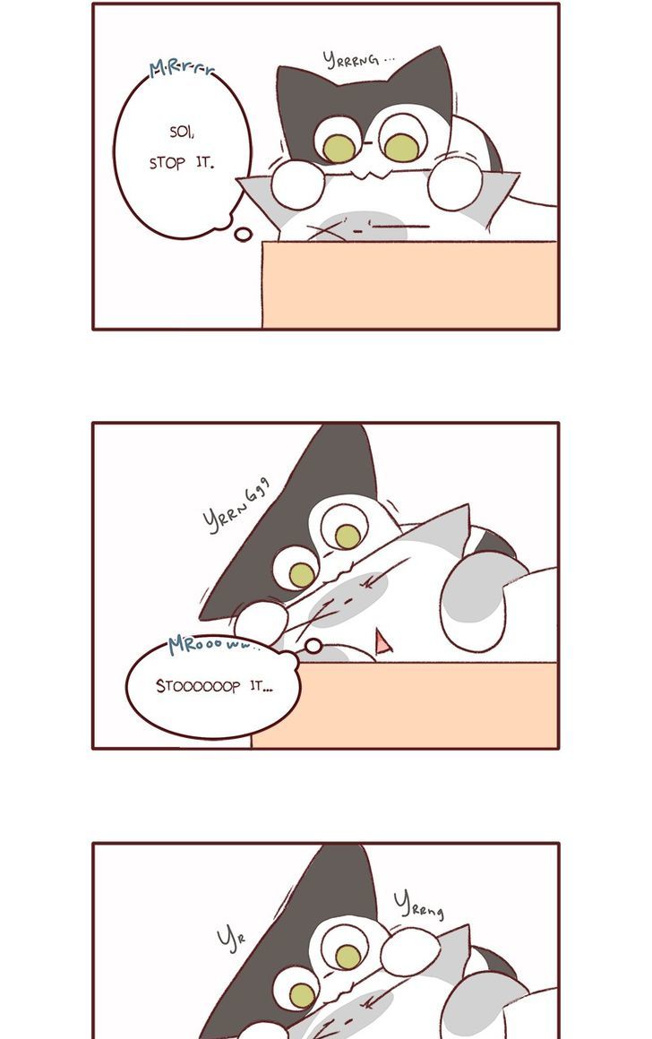 Saphie: The One-Eyed Cat Chapter 131 page 2 - Chapter 131