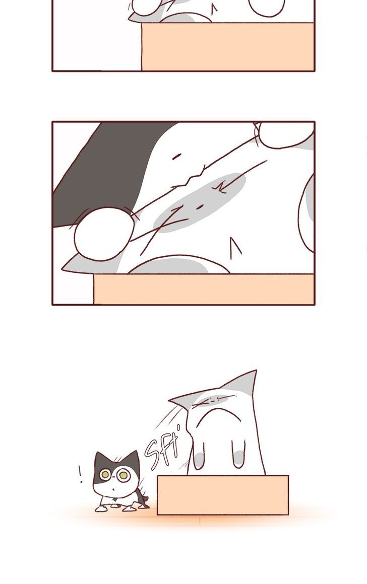 Saphie: The One-Eyed Cat Chapter 131 page 3 - Chapter 131