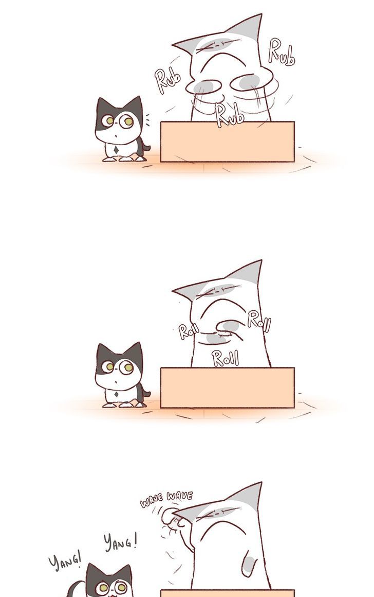Saphie: The One-Eyed Cat Chapter 131 page 4 - Chapter 131
