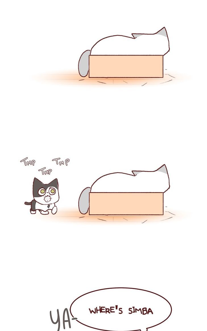 Saphie: The One-Eyed Cat Chapter 131 page 6 - Chapter 131