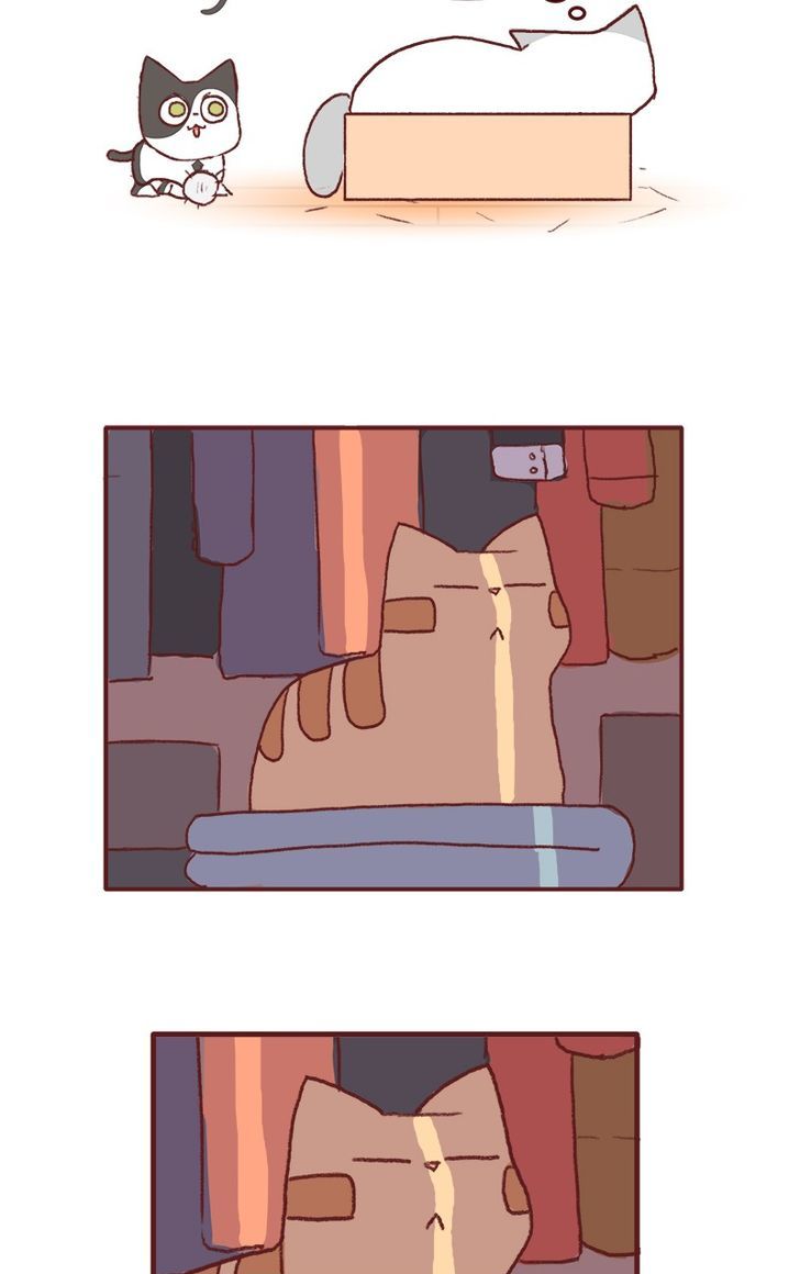 Saphie: The One-Eyed Cat Chapter 131 page 7 - Chapter 131