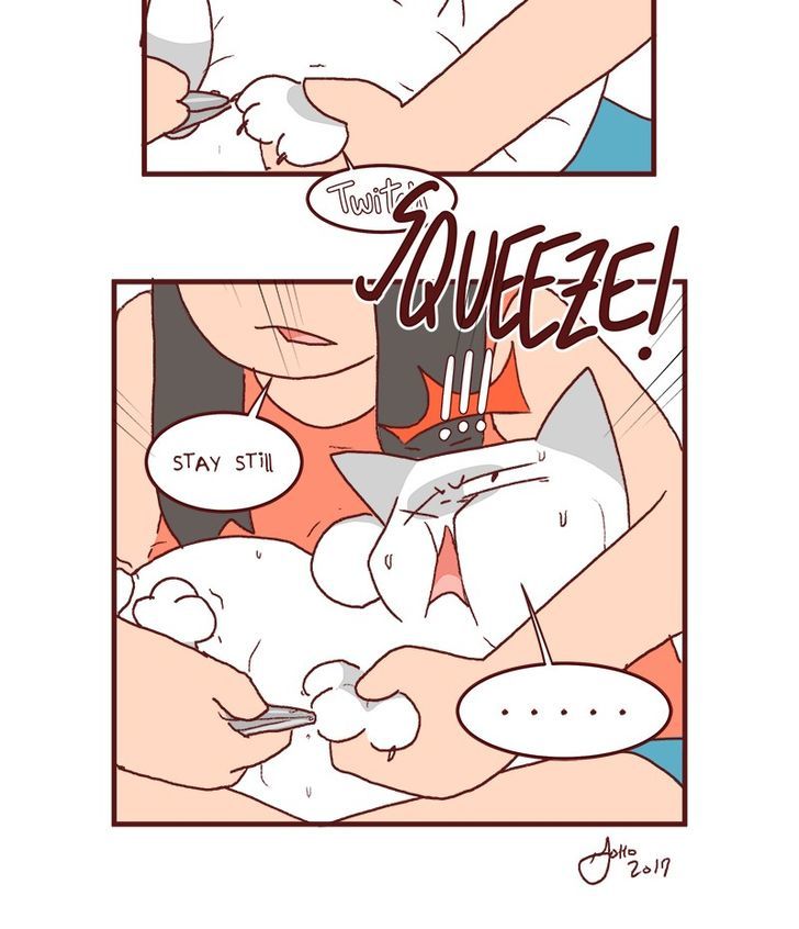 Saphie: The One-Eyed Cat Chapter 132 page 10 - Chapter 132