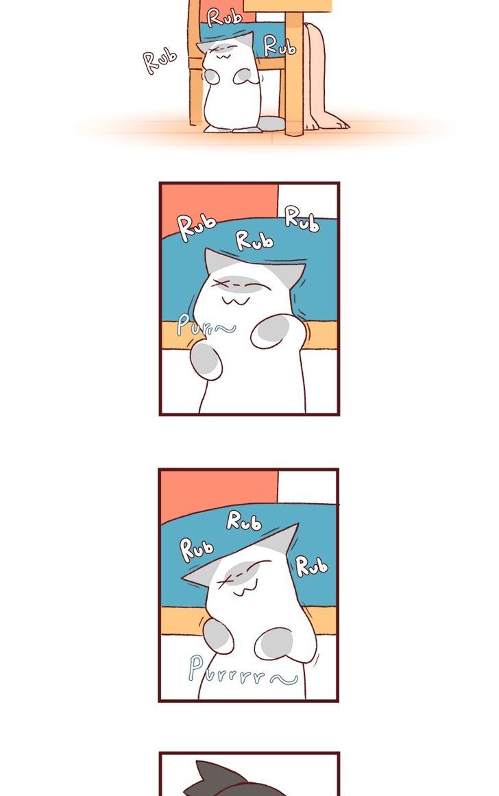 Saphie: The One-Eyed Cat Chapter 132 page 2 - Chapter 132