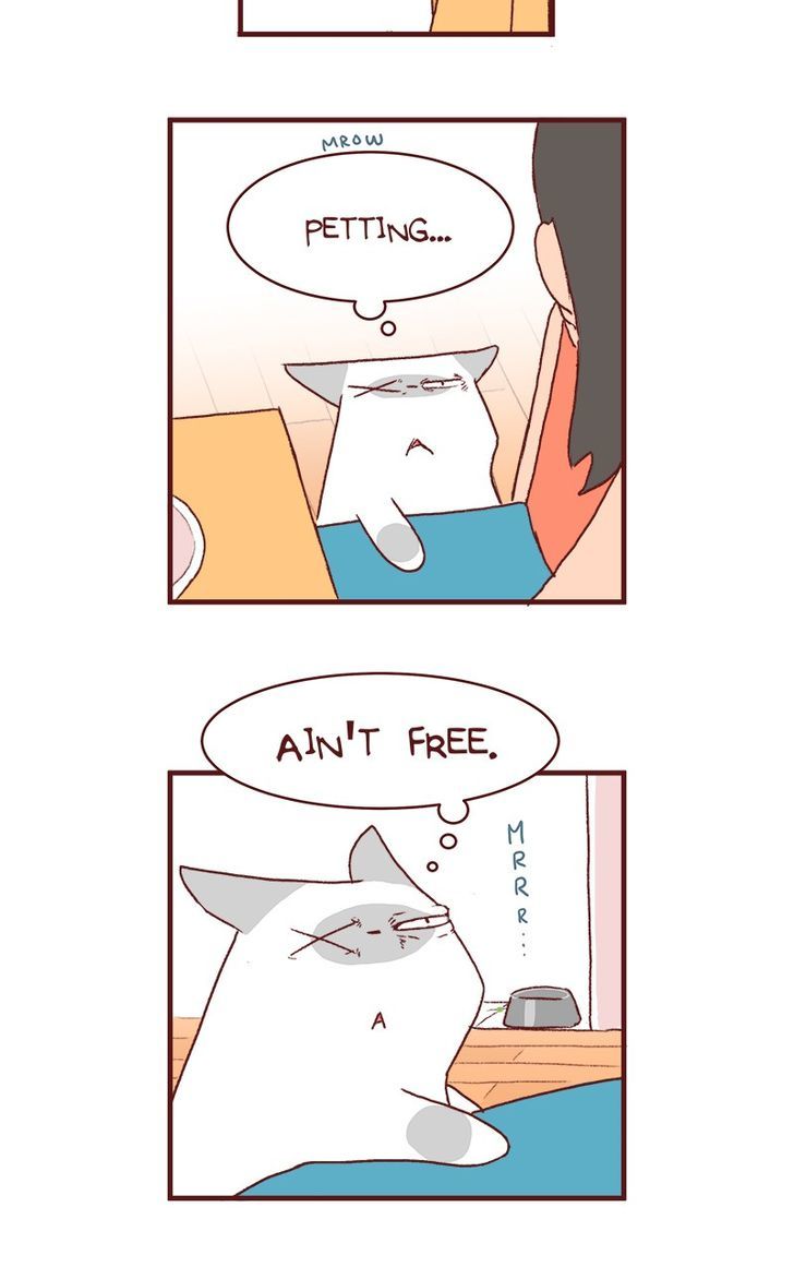 Saphie: The One-Eyed Cat Chapter 132 page 6 - Chapter 132