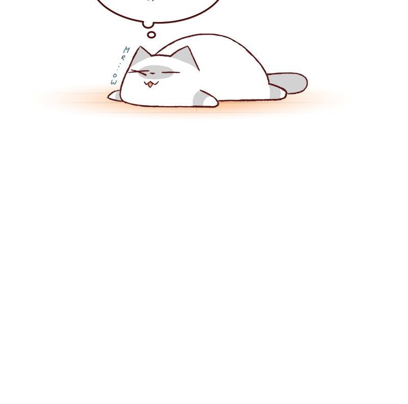 Saphie: The One-Eyed Cat Chapter 135 page 3 - Chapter 135