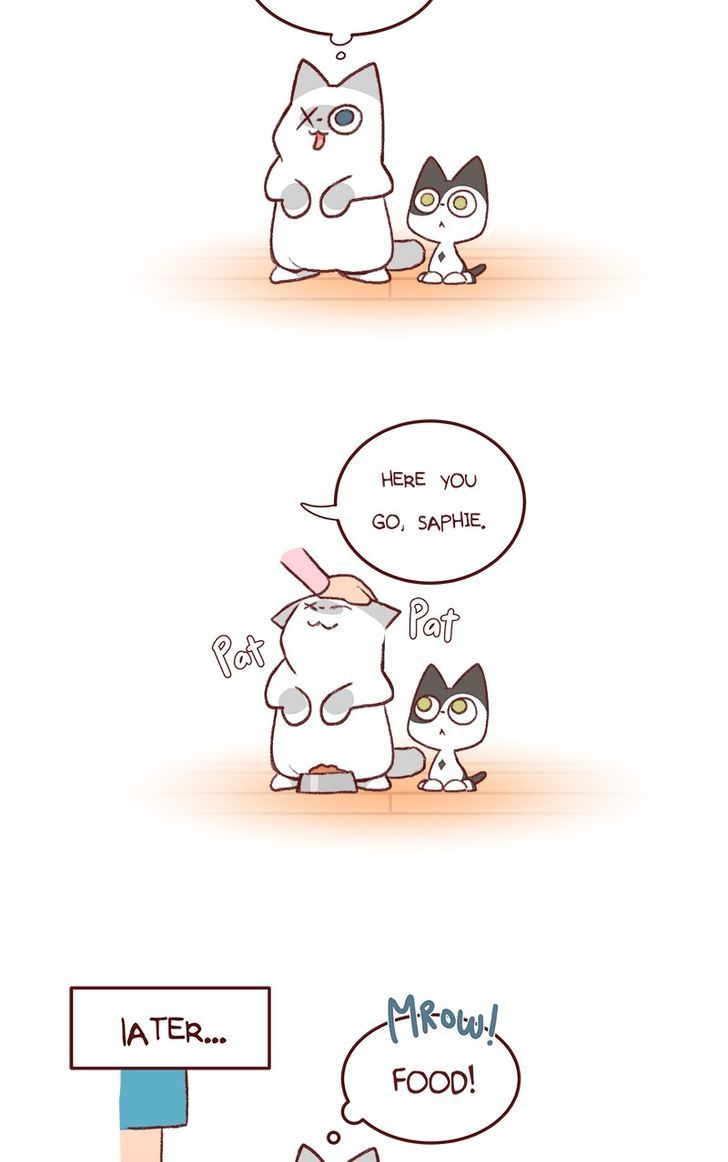 Saphie: The One-Eyed Cat Chapter 136 page 2 - Chapter 136