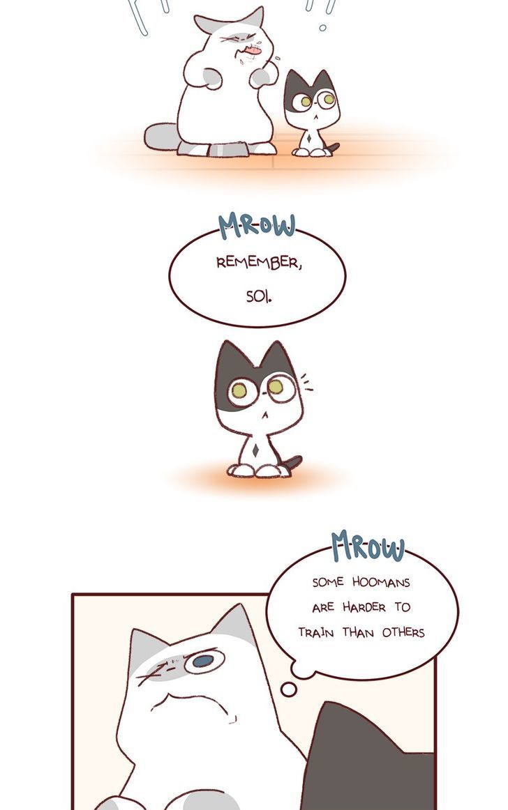 Saphie: The One-Eyed Cat Chapter 136 page 4 - Chapter 136