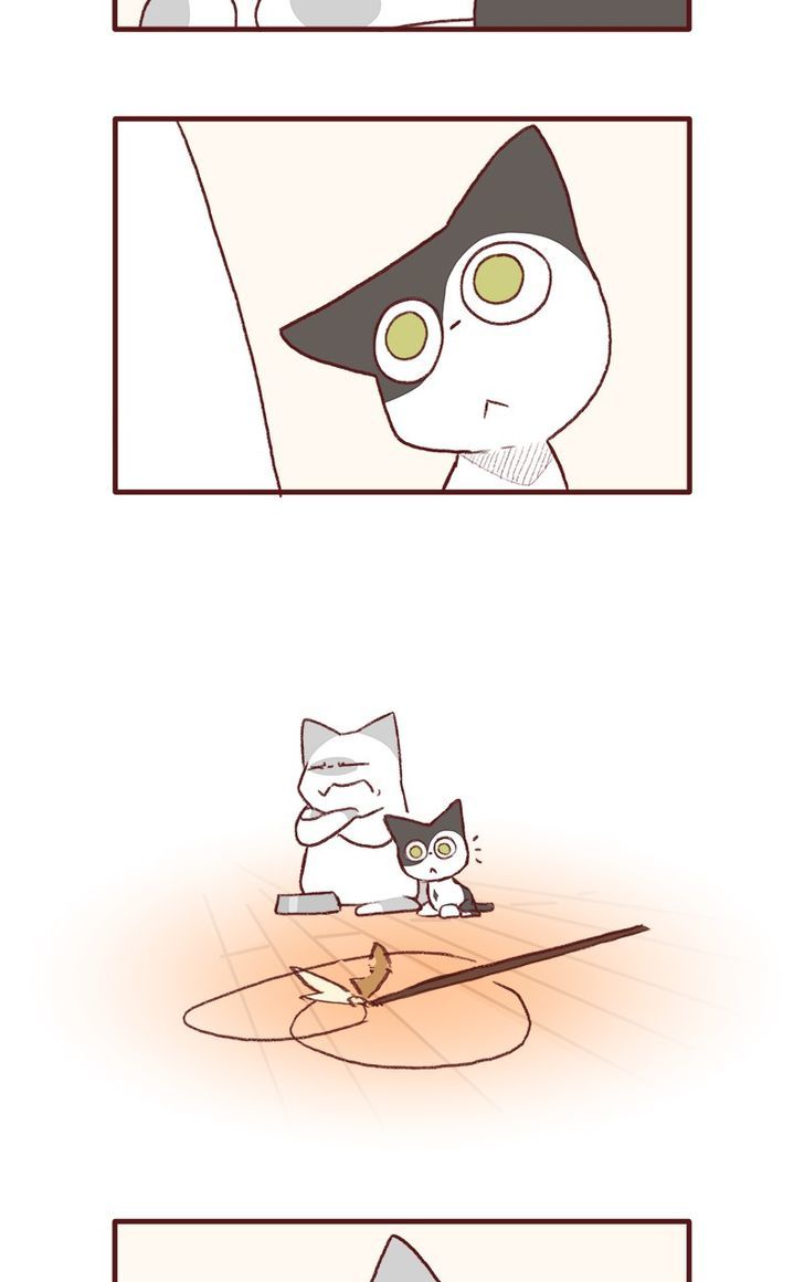 Saphie: The One-Eyed Cat Chapter 136 page 5 - Chapter 136