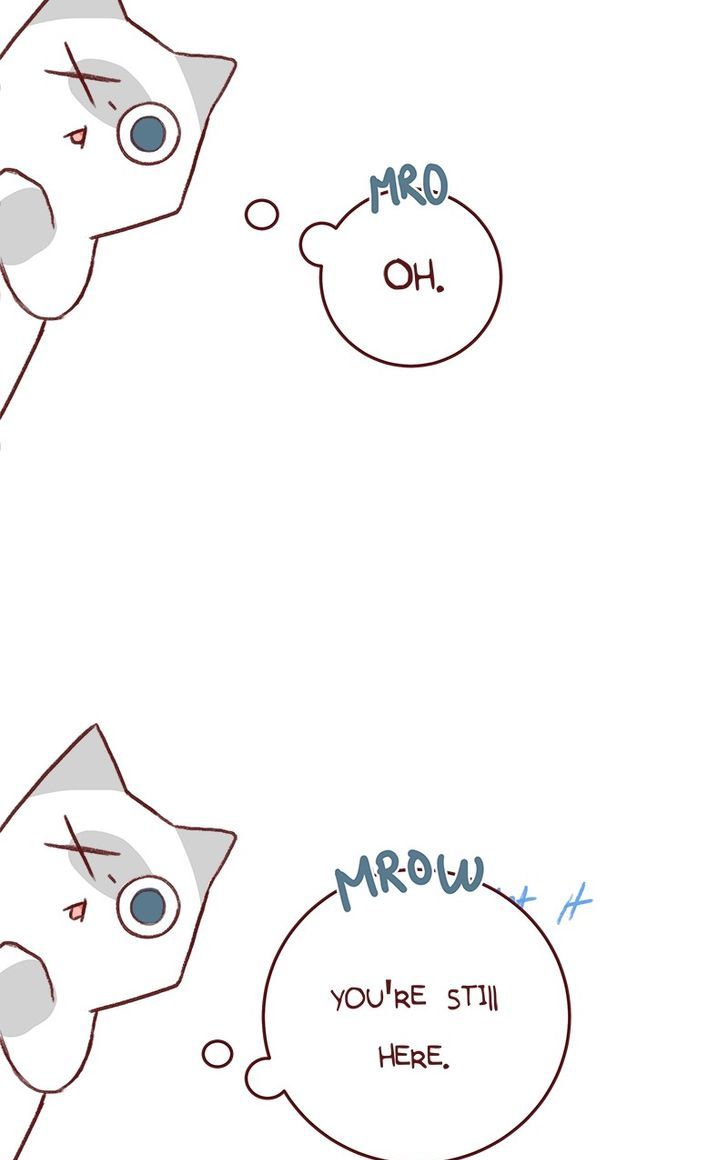 Saphie: The One-Eyed Cat Chapter 139 page 3 - Chapter 139