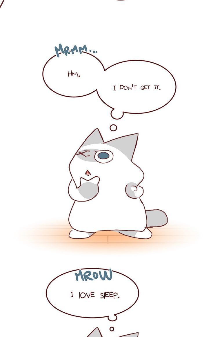 Saphie: The One-Eyed Cat Chapter 139 page 4 - Chapter 139