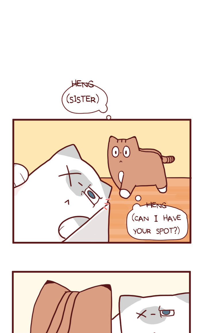 Saphie: The One-Eyed Cat Chapter 14 page 2 - Chapter 14 : Motivation