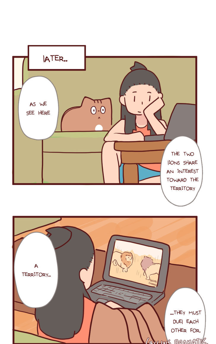 Saphie: The One-Eyed Cat Chapter 14 page 7 - Chapter 14 : Motivation