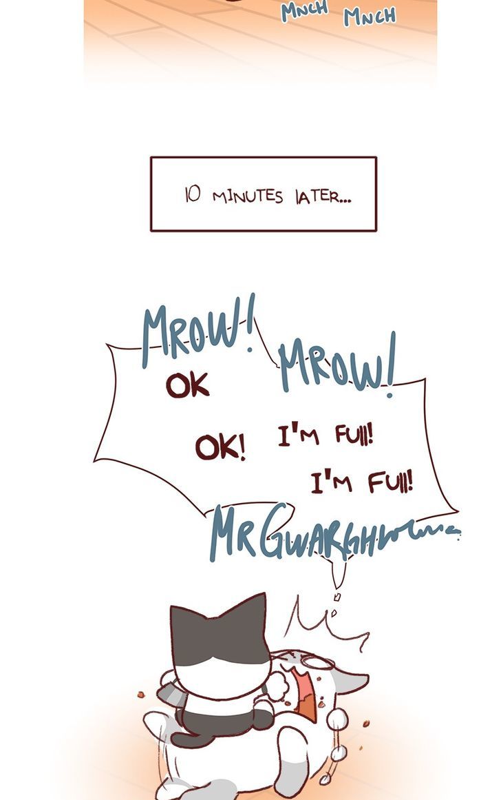 Saphie: The One-Eyed Cat Chapter 141 page 11 - Chapter 141