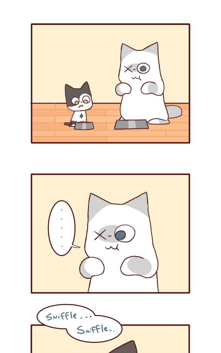 Saphie: The One-Eyed Cat Chapter 141 page 2 - Chapter 141