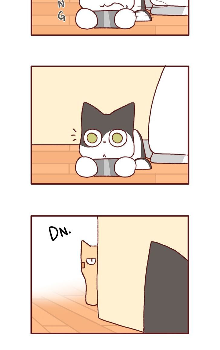 Saphie: The One-Eyed Cat Chapter 141 page 4 - Chapter 141