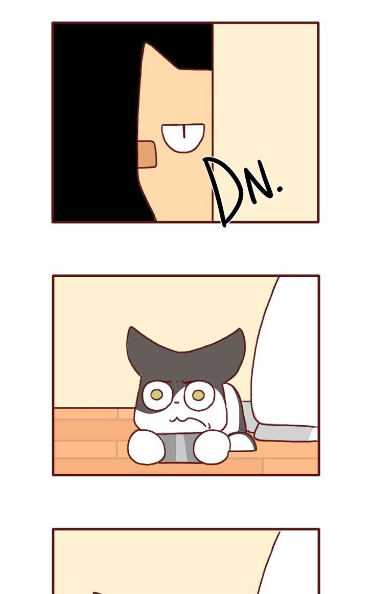 Saphie: The One-Eyed Cat Chapter 141 page 5 - Chapter 141
