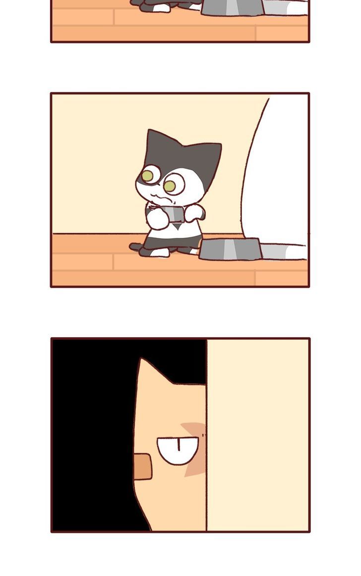 Saphie: The One-Eyed Cat Chapter 141 page 7 - Chapter 141