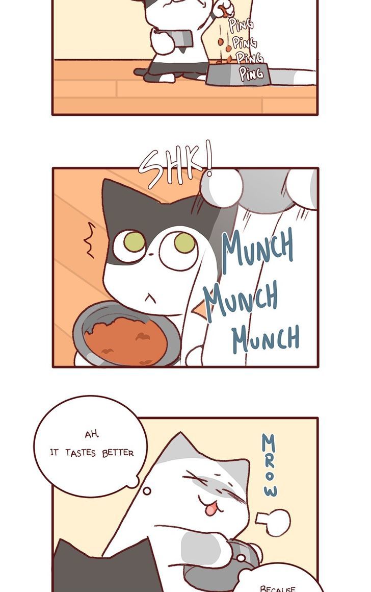 Saphie: The One-Eyed Cat Chapter 141 page 9 - Chapter 141