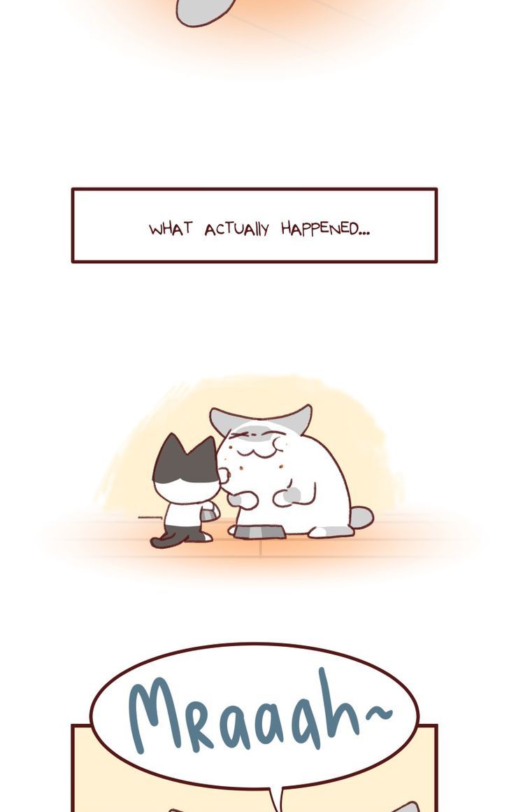 Saphie: The One-Eyed Cat Chapter 142 page 3 - Chapter 142