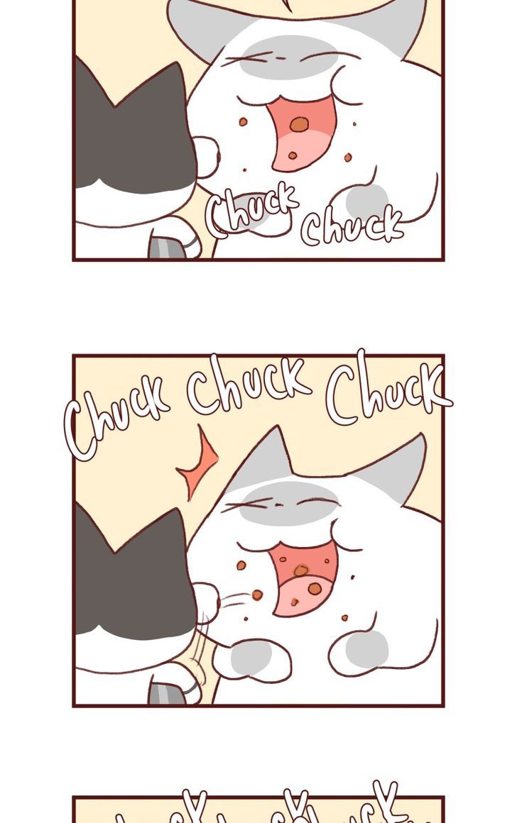 Saphie: The One-Eyed Cat Chapter 142 page 4 - Chapter 142