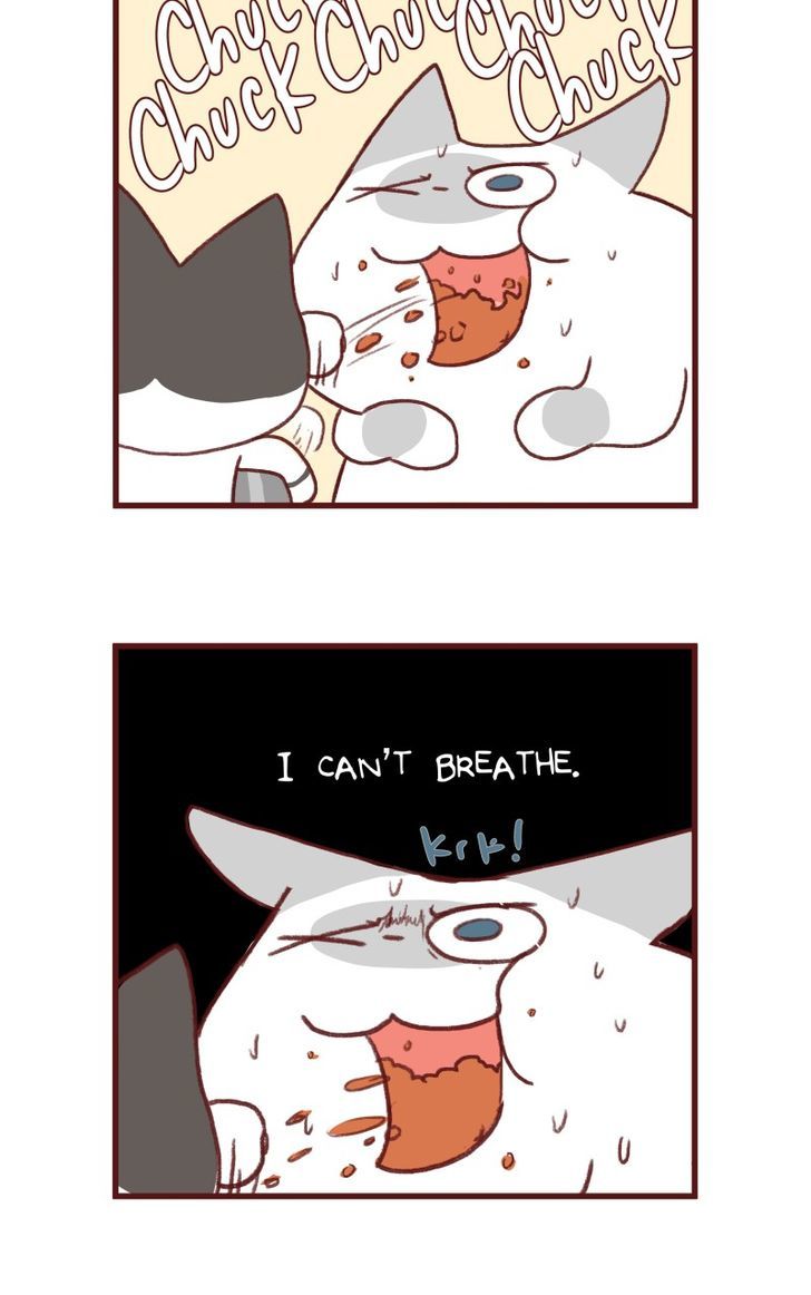 Saphie: The One-Eyed Cat Chapter 142 page 5 - Chapter 142
