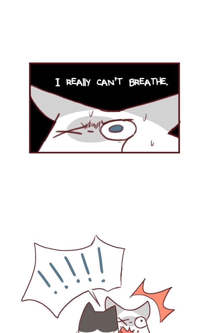 Saphie: The One-Eyed Cat Chapter 142 page 6 - Chapter 142