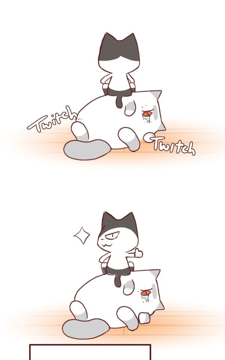 Saphie: The One-Eyed Cat Chapter 142 page 8 - Chapter 142
