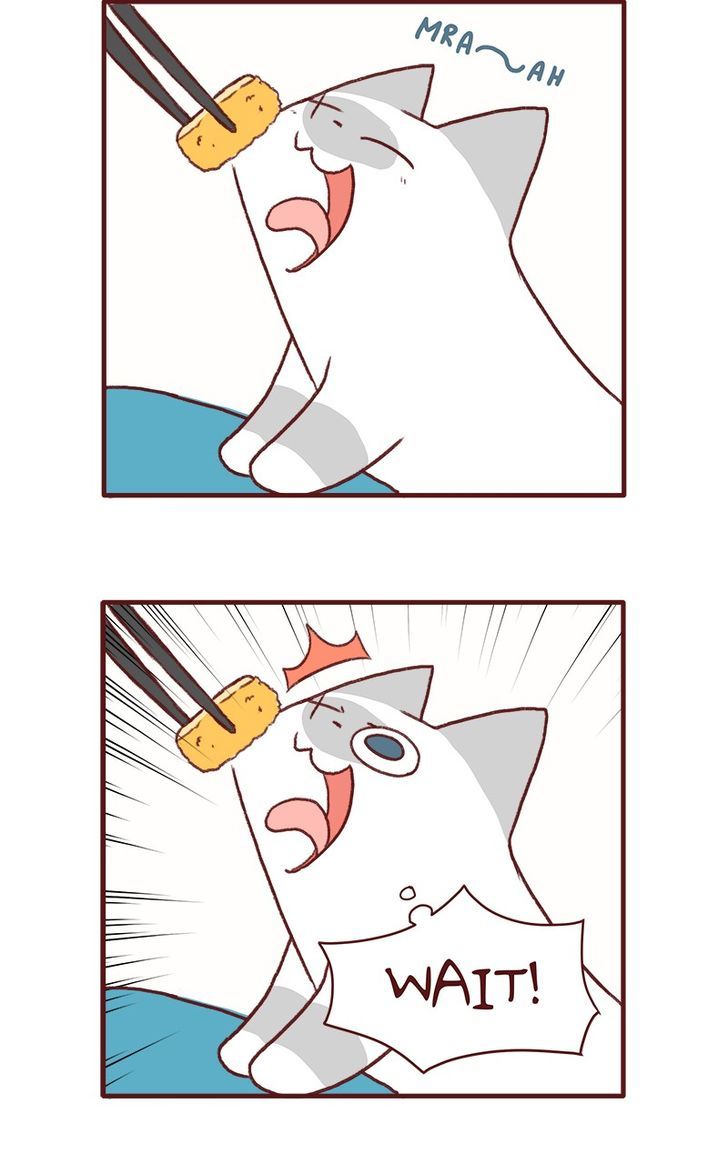 Saphie: The One-Eyed Cat Chapter 143 page 6 - Chapter 143