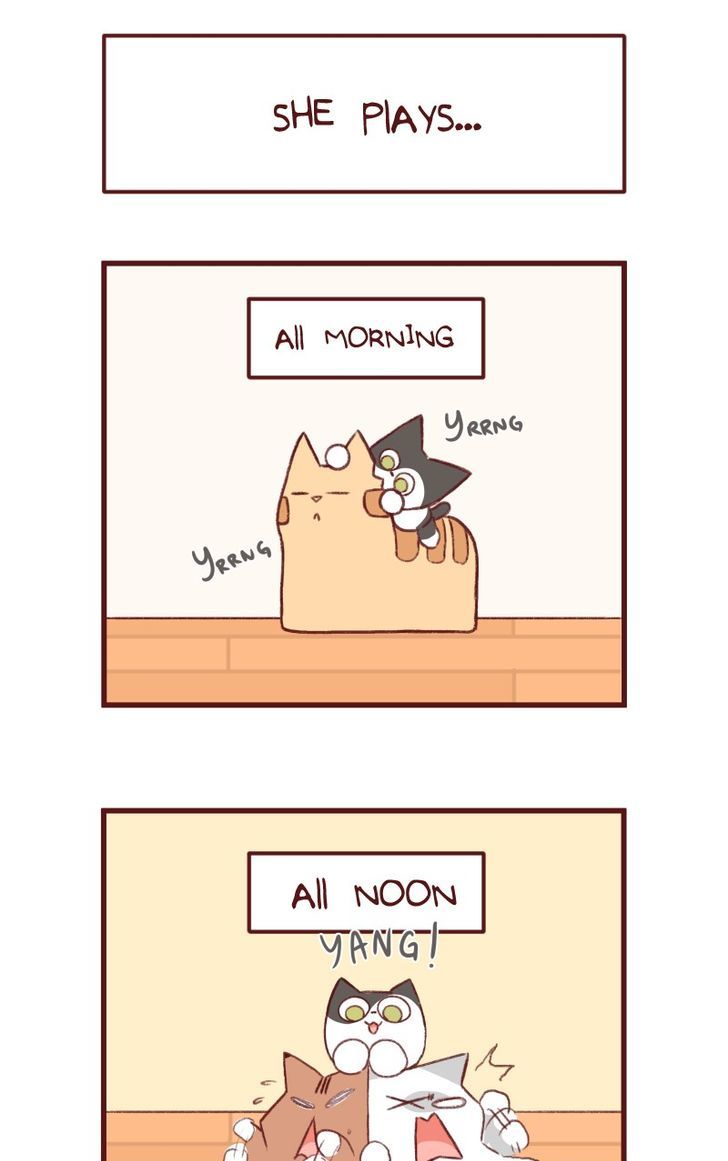Saphie: The One-Eyed Cat Chapter 144 page 3 - Chapter 144