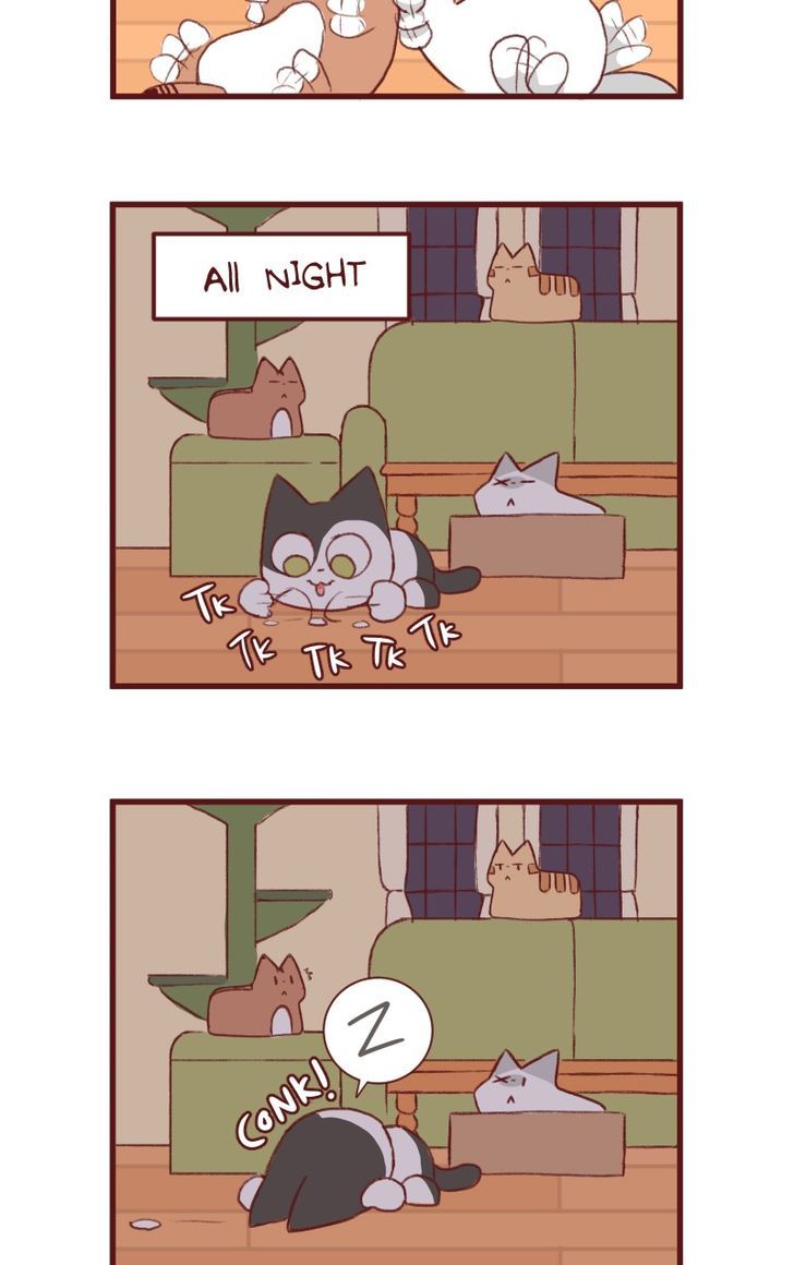 Saphie: The One-Eyed Cat Chapter 144 page 4 - Chapter 144