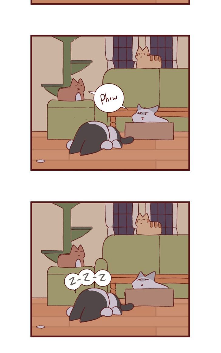 Saphie: The One-Eyed Cat Chapter 144 page 5 - Chapter 144