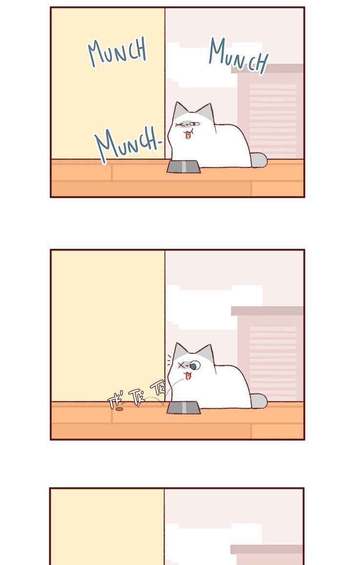Saphie: The One-Eyed Cat Chapter 145 page 2 - Chapter 145