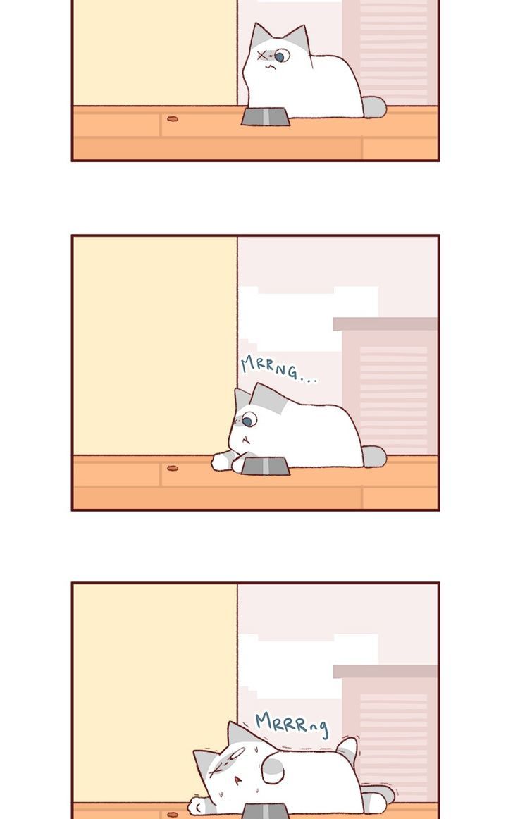 Saphie: The One-Eyed Cat Chapter 145 page 3 - Chapter 145