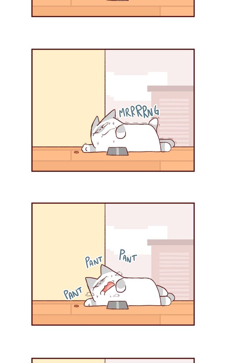 Saphie: The One-Eyed Cat Chapter 145 page 4 - Chapter 145
