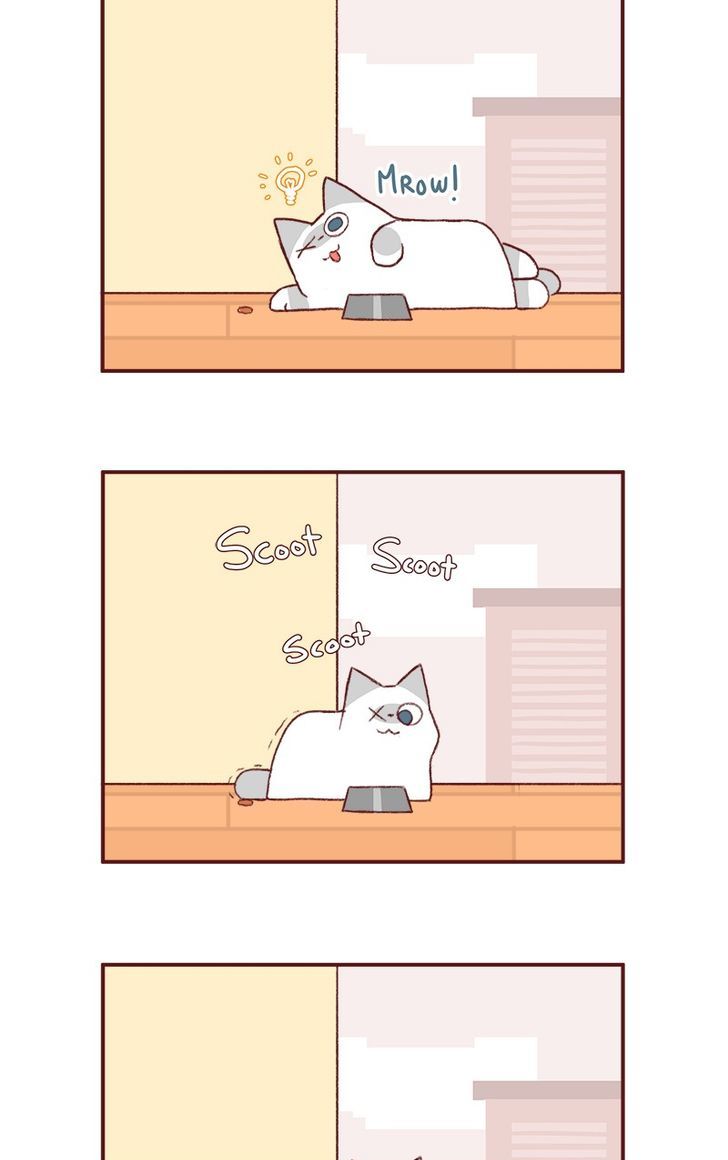 Saphie: The One-Eyed Cat Chapter 145 page 5 - Chapter 145