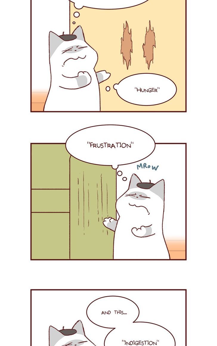 Saphie: The One-Eyed Cat Chapter 146 page 2 - Chapter 146