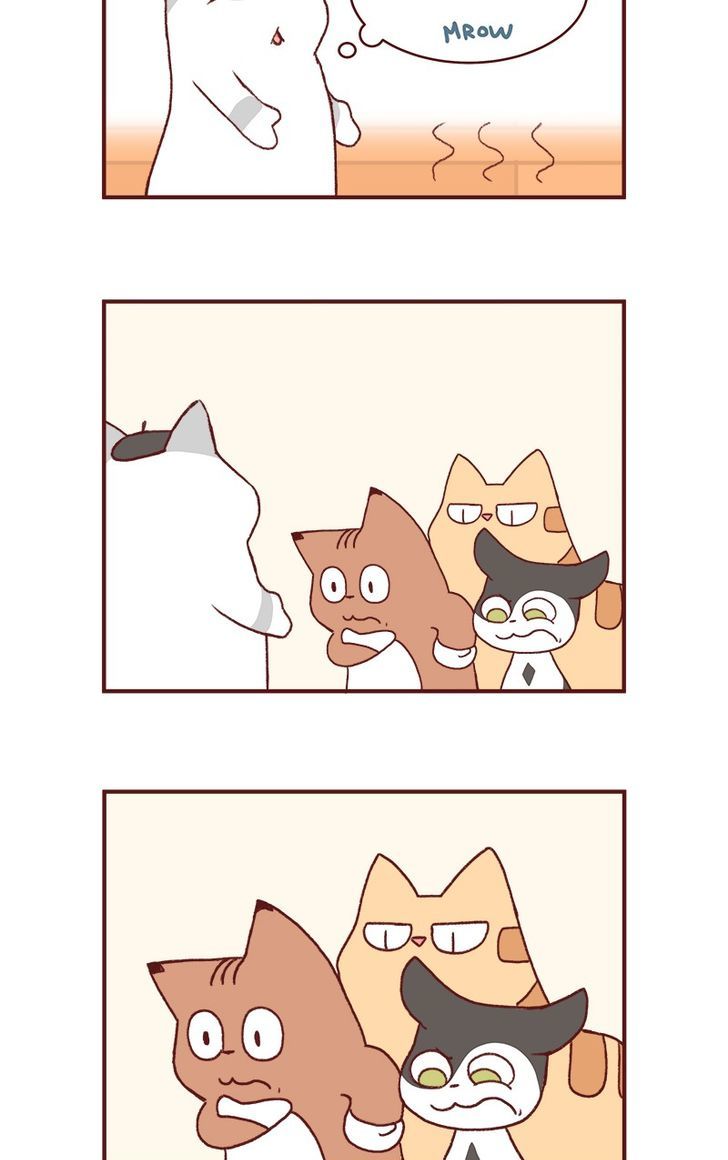 Saphie: The One-Eyed Cat Chapter 146 page 3 - Chapter 146