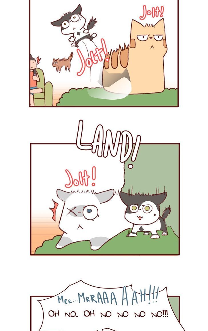 Saphie: The One-Eyed Cat Chapter 147 page 3 - Chapter 147