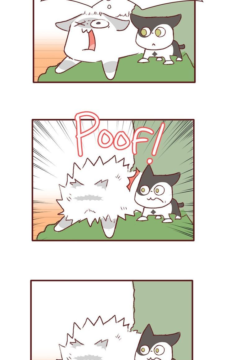 Saphie: The One-Eyed Cat Chapter 147 page 4 - Chapter 147
