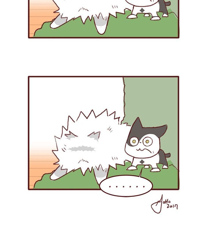 Saphie: The One-Eyed Cat Chapter 147 page 5 - Chapter 147