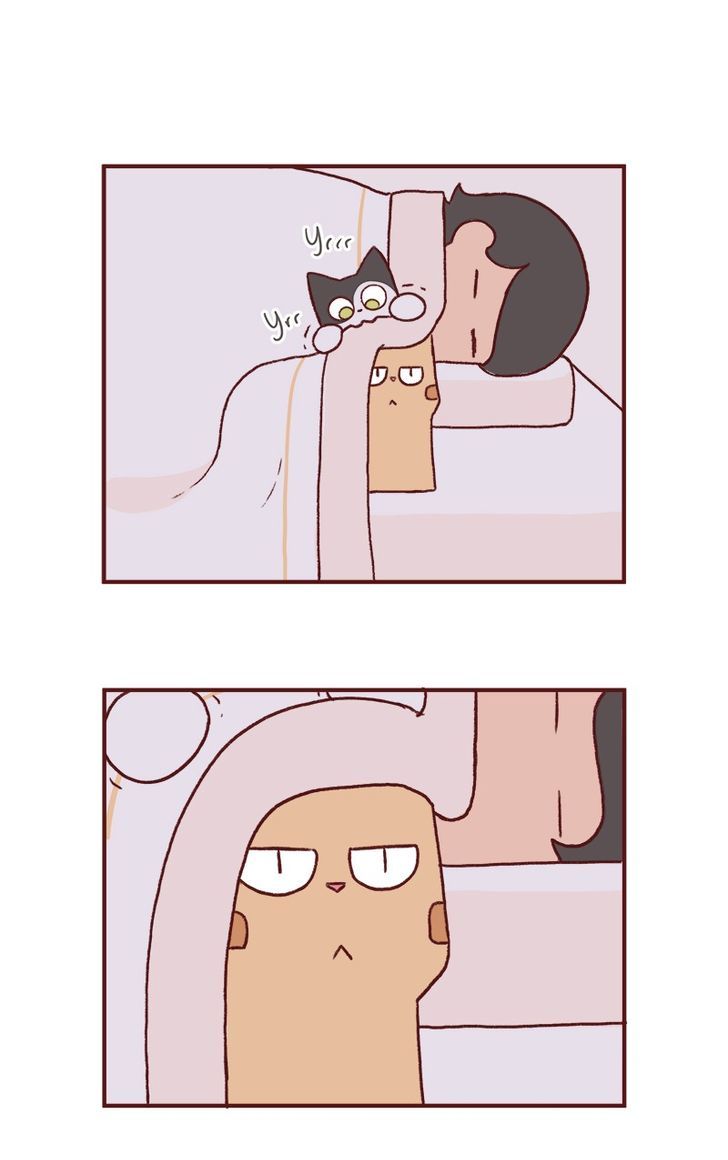 Saphie: The One-Eyed Cat Chapter 149 page 2 - Chapter 149