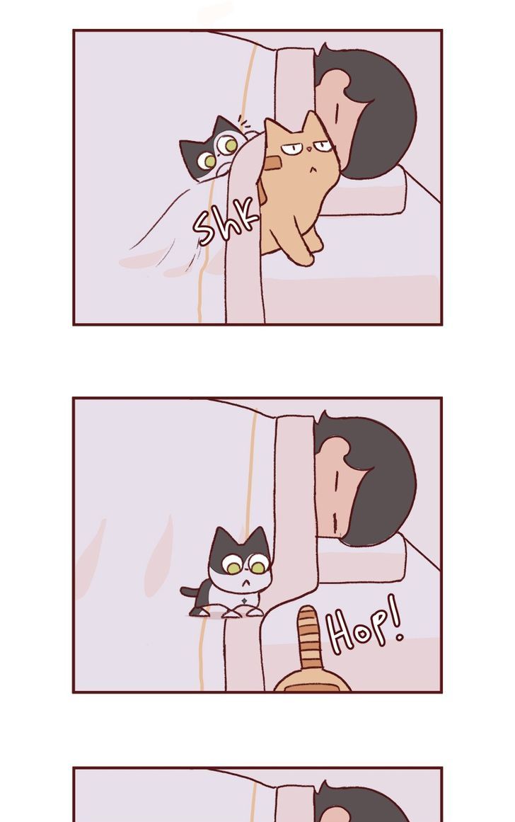 Saphie: The One-Eyed Cat Chapter 149 page 3 - Chapter 149