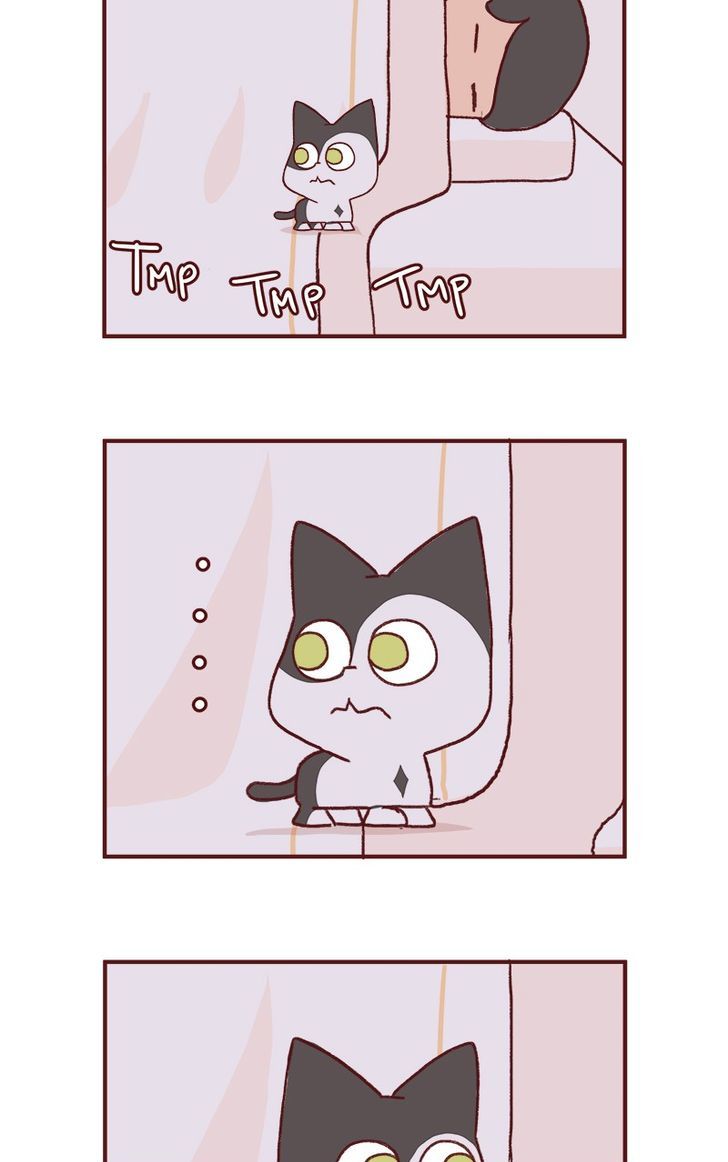 Saphie: The One-Eyed Cat Chapter 149 page 4 - Chapter 149