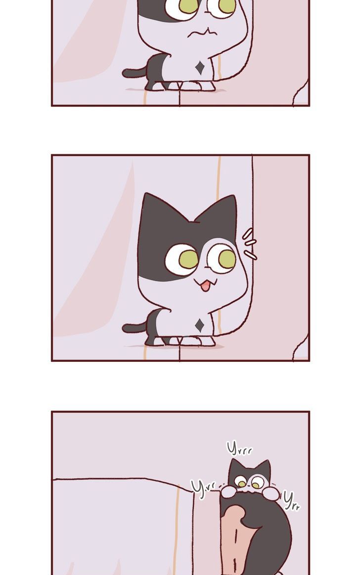 Saphie: The One-Eyed Cat Chapter 149 page 5 - Chapter 149