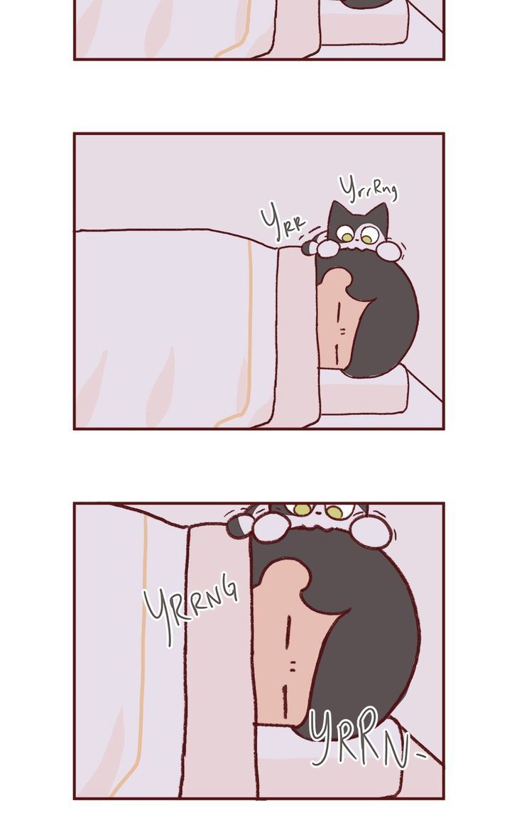 Saphie: The One-Eyed Cat Chapter 149 page 6 - Chapter 149