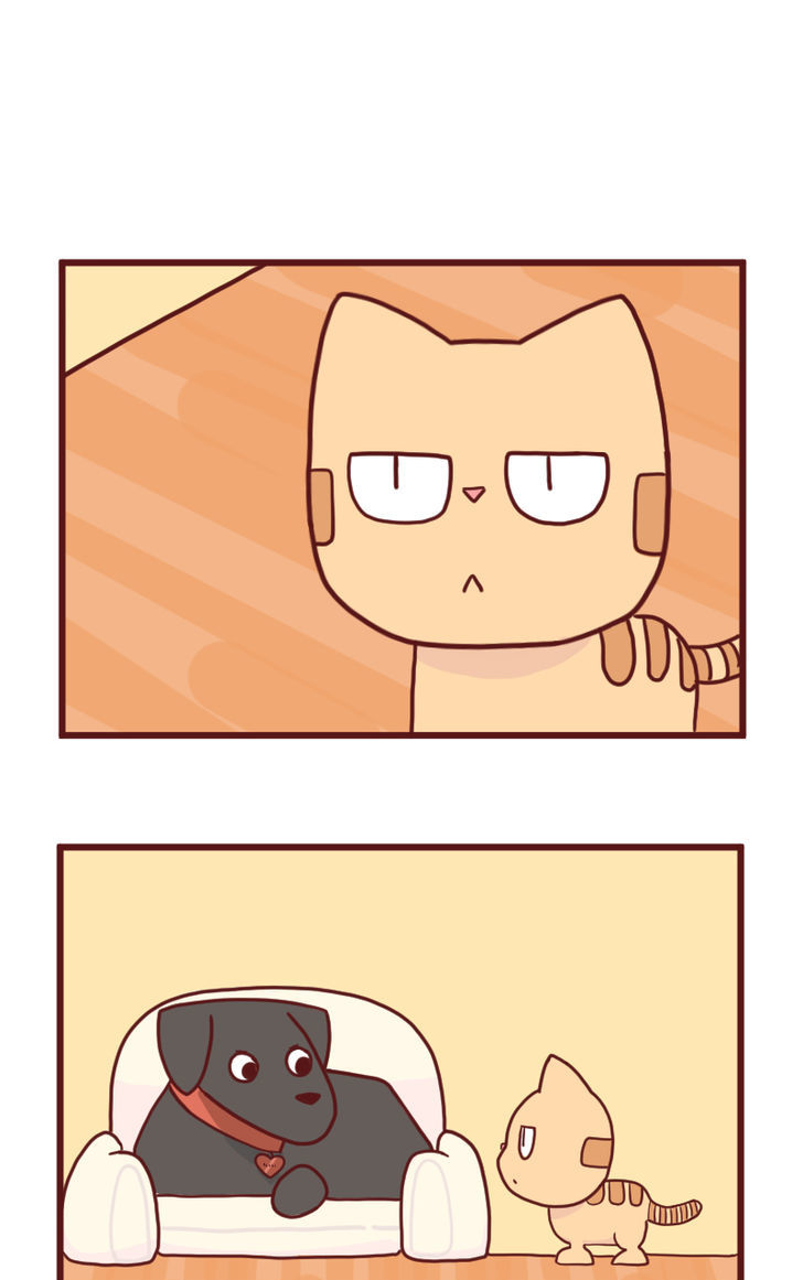 Saphie: The One-Eyed Cat Chapter 15 page 2 - Chapter 15 : Ol' Friend
