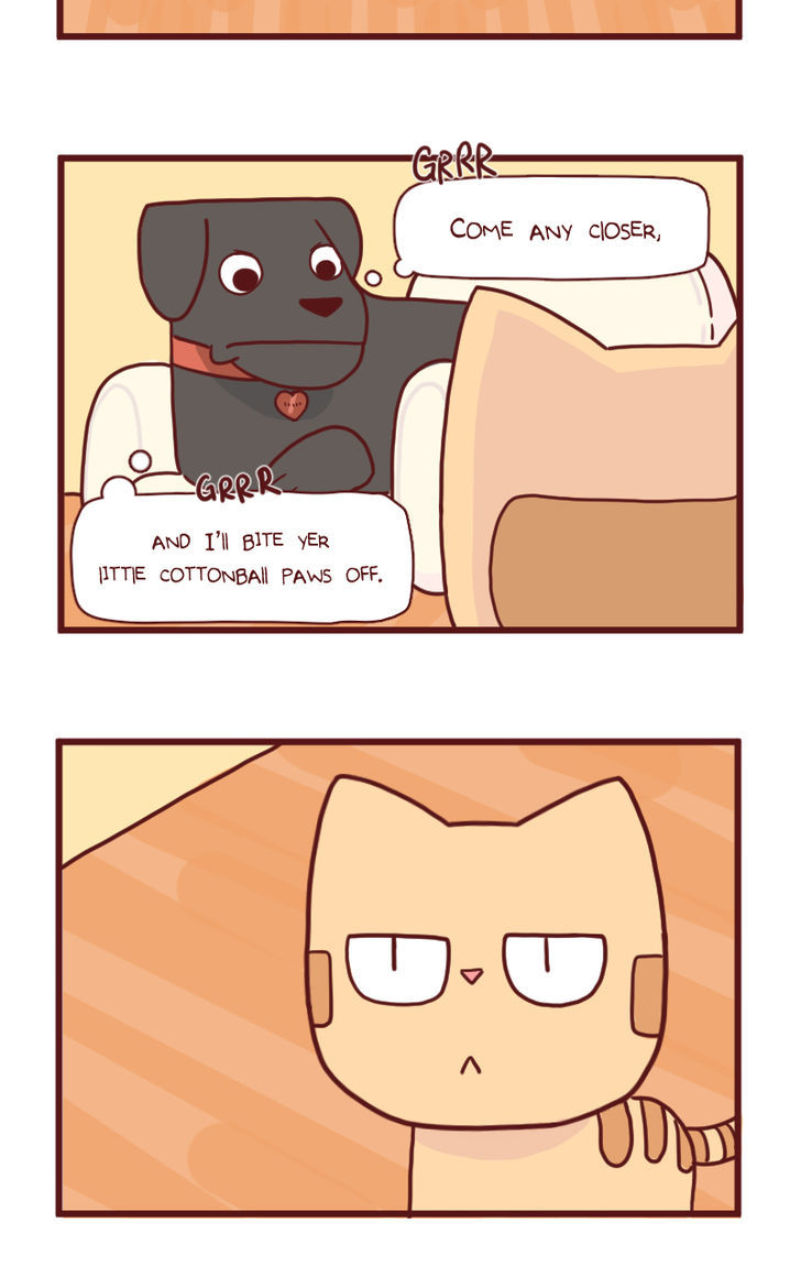 Saphie: The One-Eyed Cat Chapter 15 page 3 - Chapter 15 : Ol' Friend