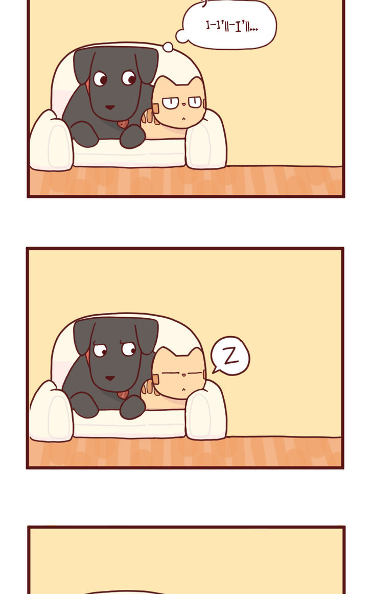 Saphie: The One-Eyed Cat Chapter 15 page 5 - Chapter 15 : Ol' Friend